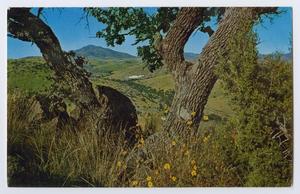 Primary view of object titled '[Postcard of Davis Mountains State Park]'.