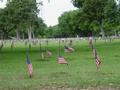 Photograph: [Flags in field at outdoor TXSSAR event]