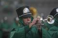 Photograph: [Photograph of a Green Brigade trumpet player performing at football …