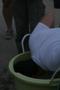 Primary view of [Man bobbing for apples at Mean Green Fling]