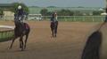 Video: [News Clip: Horse Racing Betting]