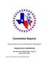 Report: [TXSSAR Committee Reports: March 25 - 26, 2011]