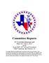Report: [TXSSAR Committee Reports: March 30 - April 2, 2017]