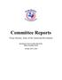 Report: [TXSSAR Committee Reports: October 30 - 31, 2010]