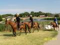 Primary view of [Sheriffs on horses at Veterans Welcome Home parade]