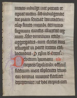Primary view of [Manuscript Leaf 14th Century, England]
