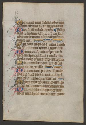 Primary view of [Book of Hours Leaf: Prayers for the Dead from the 15th Century, France?]