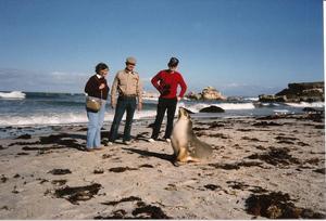 Primary view of object titled '[Archie P. McDonald and others with Australian sea lion]'.