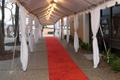 Thumbnail image of item number 1 in: '[2008 Emerald Ball red carpet, 1]'.