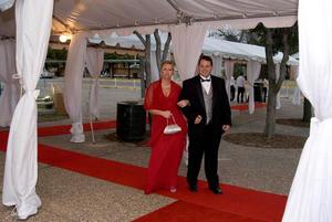 Primary view of object titled '[Couple poses on red carpet at 2008 Emerald Ball]'.