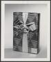 Thumbnail image of item number 1 in: '[Product photograph of a wrapped Christmas gift box embellished with a straw reindeer and bow, 2]'.