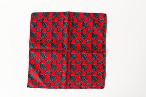 Primary view of object titled 'Paisley pocket square'.