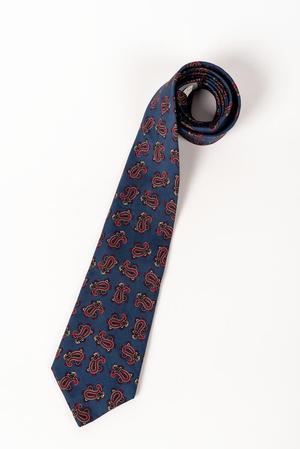 Primary view of object titled 'Paisley necktie'.