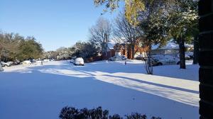 Primary view of object titled '[Snowstorm aftermath in Austin, Texas neighborhood]'.
