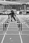 Primary view of [Araine McWhinney jumps hurdles at Brooks/NT Spring Classic, 1]