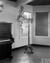 Photograph: [Interior of Ben's Fort Worth Piano Restoration]