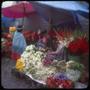 Photograph: [A flower market in La Paz]