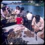 Photograph: [A seafood market in Valdivia]