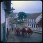 Photograph: [Donkeys on a street in Ouro Preto]