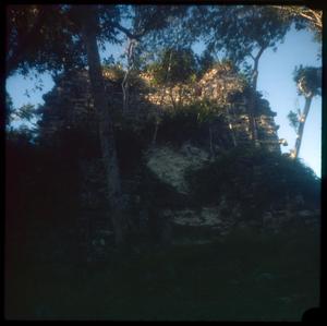Primary view of object titled '[An overgrown structure at the Chicanna ruins]'.