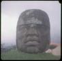 Photograph: [Olmec Head No. 1, on grass]