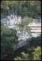Photograph: [The Sacred Cenote at Chichen Itza]