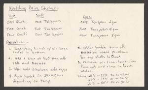 A notecard with a handwritten recipe and instructions for hatching brine shrimp. Information is included on water to salt ratios, number of eggs, aeriation, and temperature.