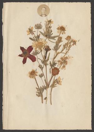 A small bouquet of pressed flowers on cardstock with a portrait of a man above.