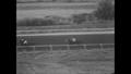 Video: [News Clip: Horse Racing]