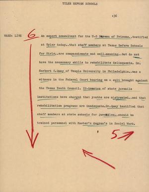 Primary view of object titled '[News Script: Tyler reform schools]'.