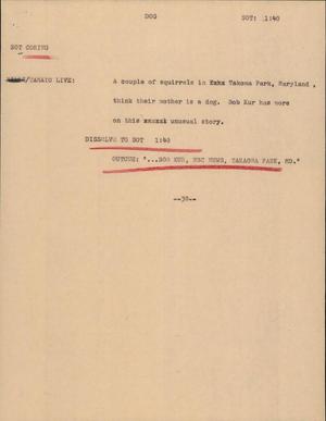 Primary view of object titled '[News Script: Dog]'.