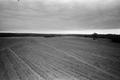 Primary view of [Photograph of a field]