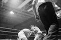Photograph: [Photograph of a boxing match #23]