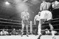 Photograph: [Photograph of a boxing match #24]