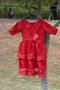 Primary view of [Small red dress hanging from tree]