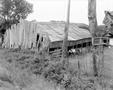 Photograph: [A wooden barn in McKinney]