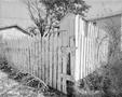 Photograph: [A wooden fence surrounded a yard]