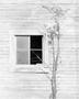 Photograph: [A window on the side of an old building]