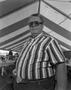 Photograph: [A man in a striped button-up shirt, 2]