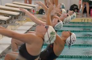 Primary view of object titled '[UNT and NMSU competitors dive into backstroke event]'.