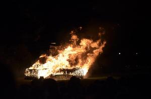 Primary view of object titled '[2013 Homecoming Bonfire lighting, 7]'.