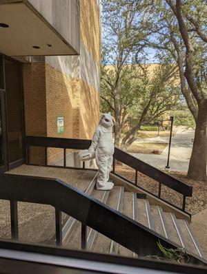 Primary view of object titled '[Albino squirrel costume at Sycamore Hall]'.