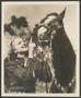 Photograph: [Photograph of a woman smiling at a horse]