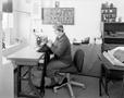 Photograph: [A woman sitting in a chair and sewing]