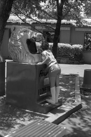 Primary view of object titled '[A child viewing a lion head statue at Six Flags Over Texas in Arlington]'.