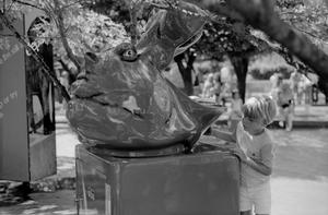 Primary view of object titled '[A boy viewing a hippo head statue at Six Flags Over Texas in Arlington]'.