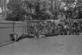 Thumbnail image of item number 1 in: '[Dolphin show at Six Flags Over Texas in Arlington, 7]'.