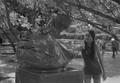 Thumbnail image of item number 1 in: '[A girl viewing a hippo head statue at Six Flags Over Texas in Arlington, 2]'.