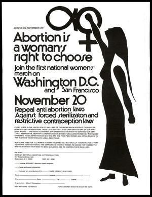 Primary view of object titled 'Flyer for the first national women's march in Washington D.C. and San Francisco'.