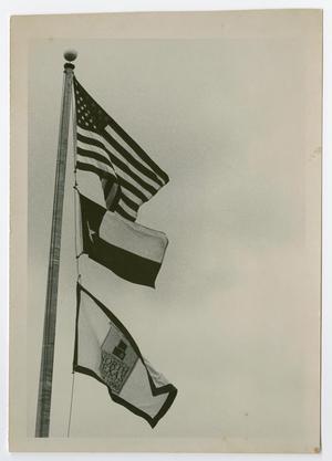 Primary view of object titled '[Two UNT flags are flown under the U.S. flag on a flagpole]'.